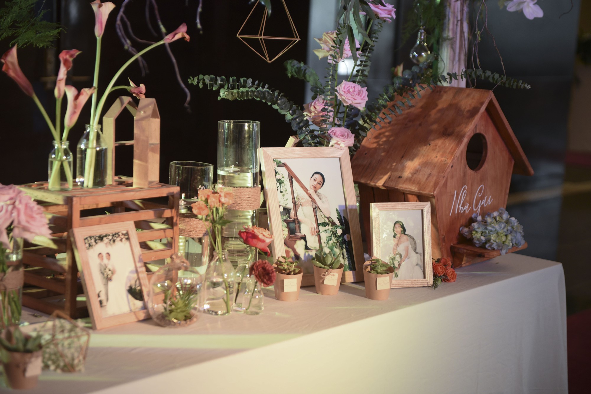 bg-header