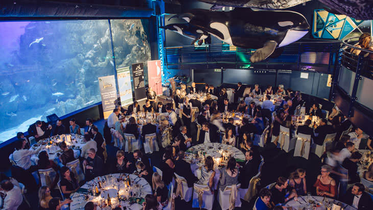 Chủ đề Gala Dinner: Cách chọn theme phù hợp cho doanh nghiệp