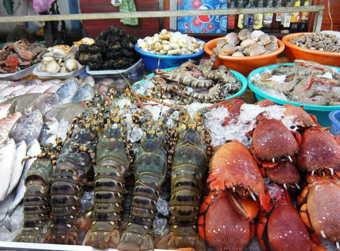 Những lý do doanh nghiệp nên tổ chức Company Trip Nha Trang