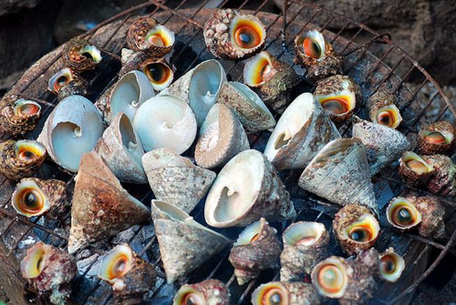Du Lịch công ty tại Hang Rái Ninh Thuận – Khám phá ngay nơi đẹp như thiên đường này