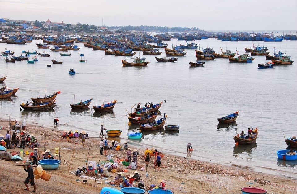 Tổ chức Du Lịch Phan Thiết 2 ngày 1 đêm cho công ty