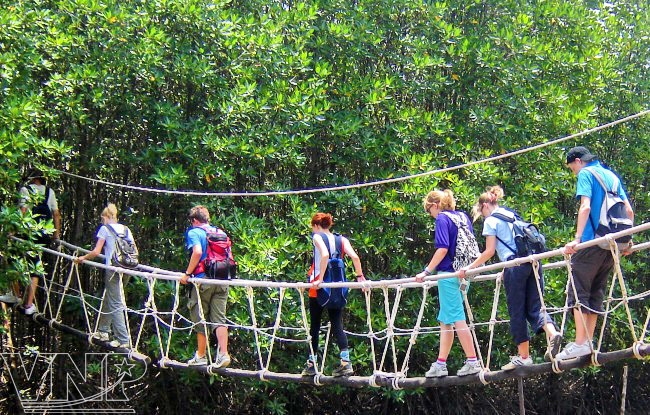Team Building Cần Giờ – Địa Điểm Tổ Chức Team Building Gần Sài Gòn