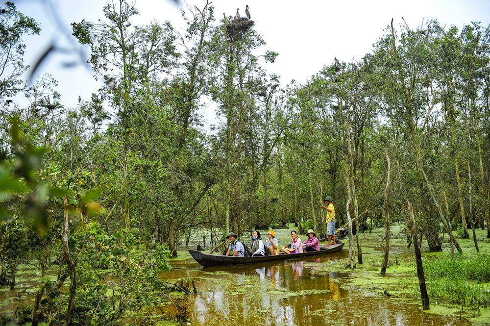 Trải nghiệm du lịch kết hợp Team Building Miền Tây mới lạ, hấp dẫn