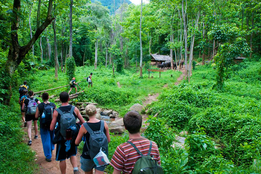 Những Ý Tưởng Tổ Chức Team Building độc đáo, mới lạ