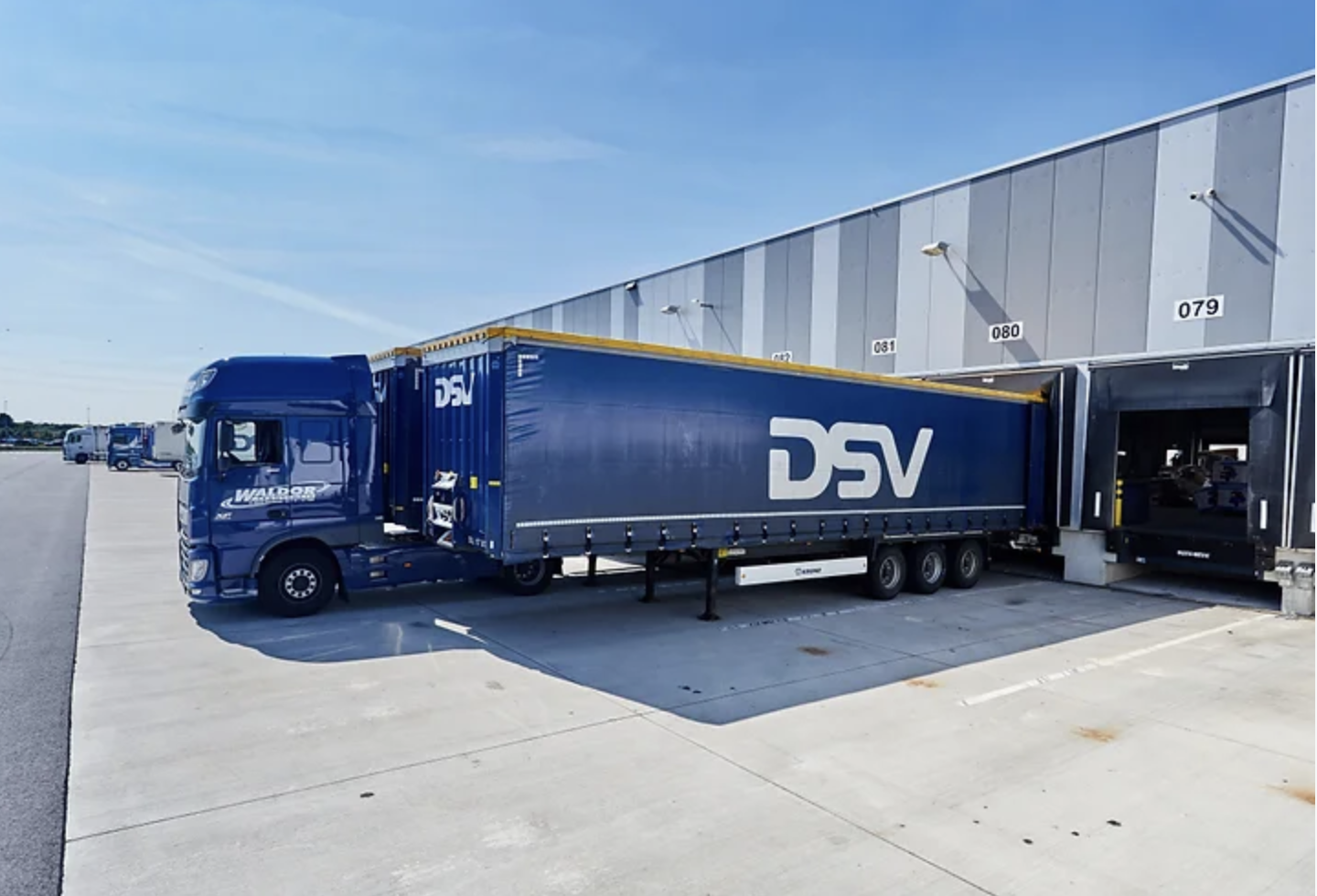 dsv vietnam